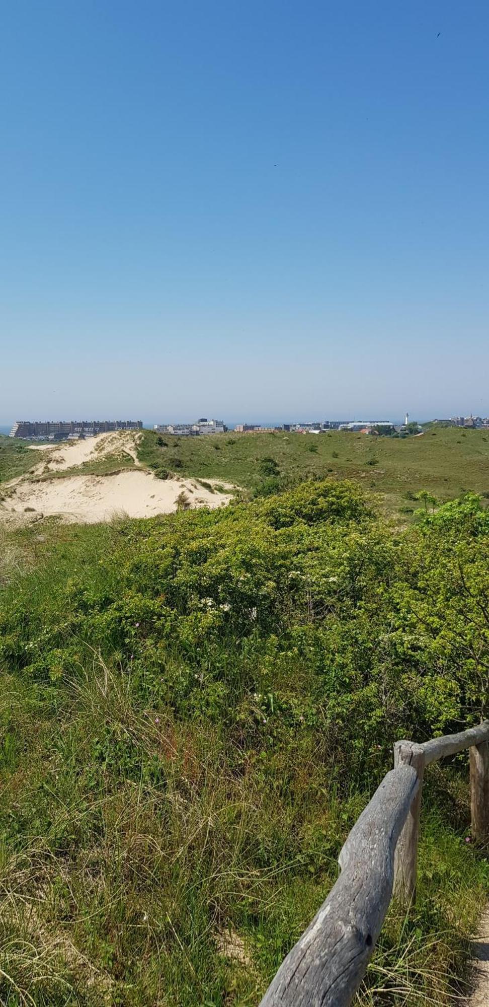 Strand Zuid Apartment Egmond aan Zee Room photo